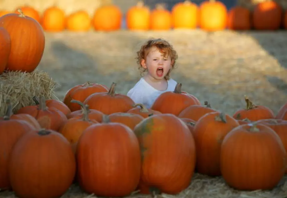 A Fall Staple for Families in Southeast Minnesota is Turning 30 This Year