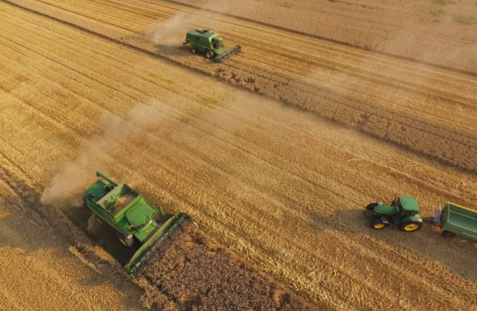 Mower County Farm Bureau Celebrates 100 Years