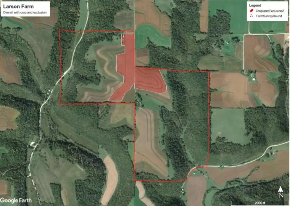 Minnesota DNR
