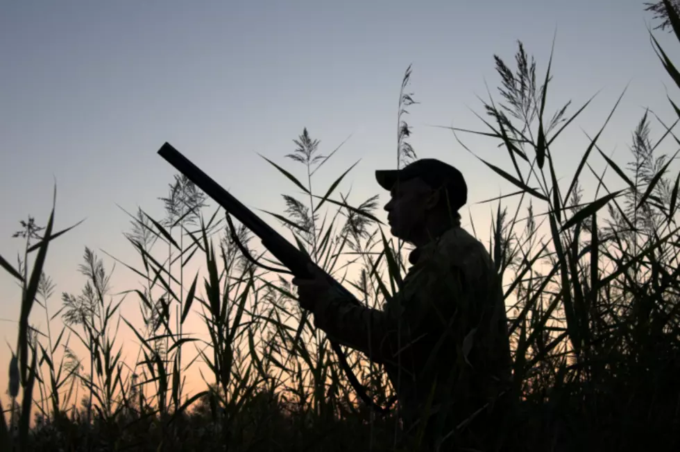 Minnesota Has Higher Gun Ownership Than Texas?